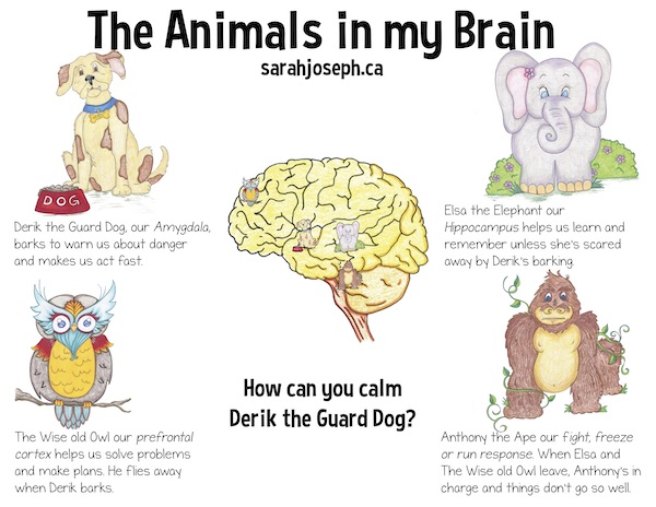 The Animals in my Brain - Sarah Joseph